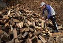 SERNAC y Seremi de Energía revelan dónde encontrar la leña y el pellet más baratos en Temuco y Padre Las Casas