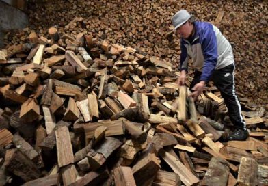 SERNAC y Seremi de Energía revelan dónde encontrar la leña y el pellet más baratos en Temuco y Padre Las Casas
