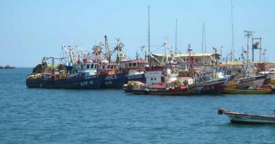 Contraloría declara ilegal resolución de Gobierno de Boric que permitió aumentar registro de pesca vulnerando los mecanismos establecidos