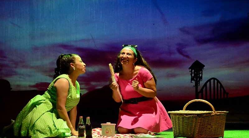 Este sábado culmina Otoño Escénico Araucanía 2022 con la obra “Letras en rosa”