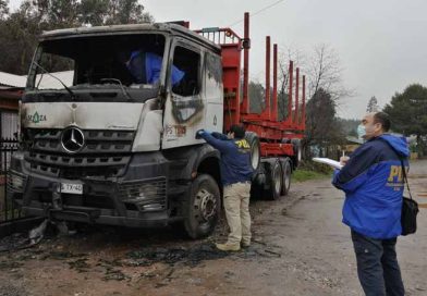 Purén: Un camión de transporte fue incendiado a un costado de un domicilio