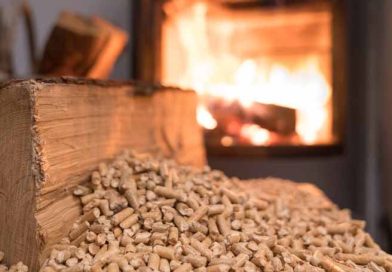Crisis del pellet en La Araucanía: concejal pide a la FNE poner la lupa sobre el mercado