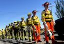 CMPC refuerza la formación de brigadistas forestales con capacitación internacional previo a la temporada de incendios