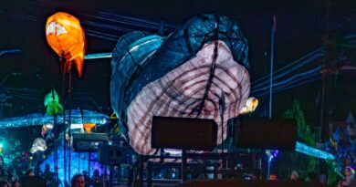 El espectáculo “Océano” volvió a Temuco y reunió a miles de personas en Labranza y Pueblo Nuevo