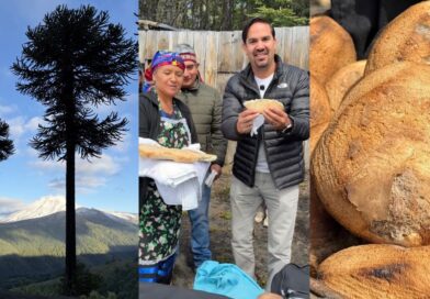 Sabor y tradición en la cordillera: Lonquimay lanza la 7ª Fiesta de la Tortilla en Mapu Choike