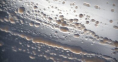 Microorganismos del desierto de Atacama podrían ayudar a detectar vida en otros planetas