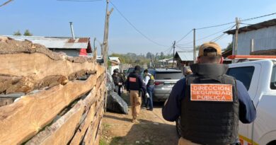 Dron municipal detectó plantación de marihuana en toma de Temuco y permitió a PDI la detención de una pareja