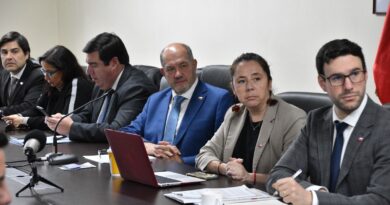 Gabinete regional aborda plan de reconstrucción nacional junto a subsecretario de Economía
