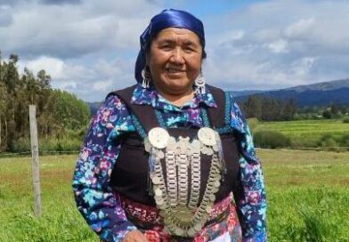 Consejera Nacional ante CONADI, Ana Llao, llama a participar en elecciones del Consejo este domingo 19 de abril