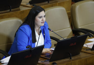 Diputada Sara Concha solicita mesa de trabajo por la seguridad en la educación