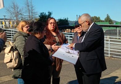 Asociación de Funcionarios de la UFRO presenta querella por presunto faltante de más de $192 millones