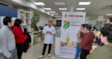 Diseñando Nuevos Alimentos: Emprendedores de La Araucanía potencian sus negocios con ciencia y tecnología
