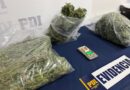 Detienen a sujeto en Traiguén, PDI logra incautar cannabis avaluada en $10 millones