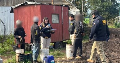 Fiscalización migratoria en Temuco y Freire permitió detectar ingresos irregulares