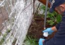 Invierno 2026: Aguas Araucanía pone foco en proteger medidores ante frío extremo