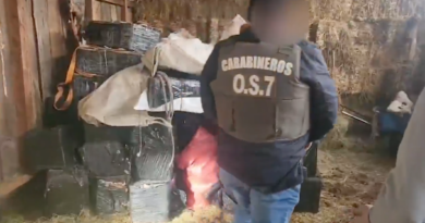Carabineros y Fiscalía incautan más de 1.600 fuegos artificiales y 12 mil cajetillas de cigarrillos de contrabando en Curacautín