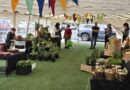 Se abrirá inédita Feria “Mercado Rural” de Pucón en céntrica Plaza Brasil