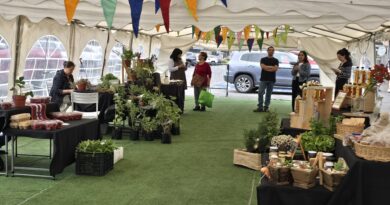 Se abrirá inédita Feria “Mercado Rural” de Pucón en céntrica Plaza Brasil