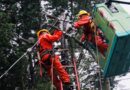CGE activa plan de acción preventivo ante viento Puelche que afectará a la zona lacustre de La Araucanía
