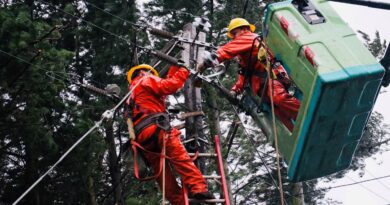 CGE activa plan de acción preventivo ante viento Puelche que afectará a la zona lacustre de La Araucanía