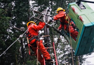 CGE activa plan de acción preventivo ante viento Puelche que afectará a la zona lacustre de La Araucanía