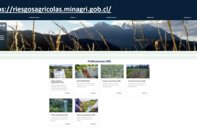 Sitio en internet permite a los agricultores de La Araucanía anticiparse a posibles riesgos climáticos
