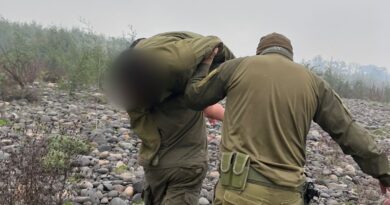 Carabineros de Temuco salvan a mujer que se lanzó desde el Puente Treng Treng Kay Kay