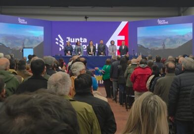 🔵 La Democracia Cristiana cumple 69 años y prepara un mes de actividades en La Araucanía