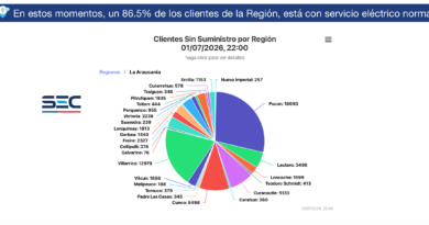 ⚡ Actualización del suministro eléctrico en La Araucanía