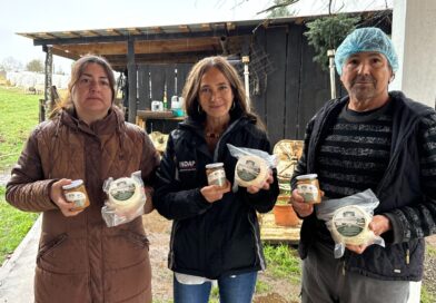 Queso de cabra en Huiscapi: Emprendimiento familiar destaca en el Día Mundial del Desarrollo Rural