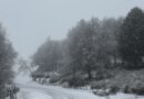 Sistema frontal activará lluvias, viento y nevadas en La Araucanía