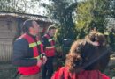 Luego de la tormenta, Pucón muestra la mayor afectación en su economía rural