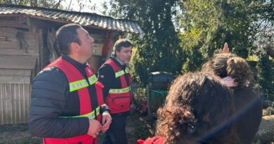 Luego de la tormenta, Pucón muestra la mayor afectación en su economía rural