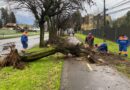 Temporal golpea con fuerza a Temuco: 195 emergencias y cerca de 120 viviendas dañadas