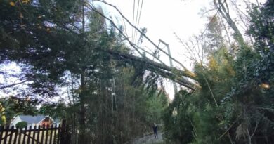 CGE instala generación de respaldo para recuperar el servicio en Curarrehue y Pucón
