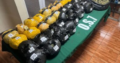 Detienen en Collipulli a boliviano que transportaba 45 kilos de marihuana hacia el sur del país