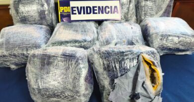 PDI desarticula banda dedicada al tráfico de cannabis entre Calama, Santiago y Temuco: más de 40 kilos de droga fueron incautados