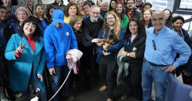 Iniciativa pionera en Chile: Gobierno de La Araucanía impulsa inédito programa para enfrentar la sobrepoblación de perros y gatos