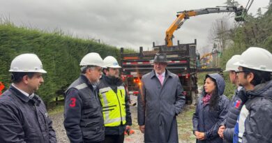 Autoridades del Gobierno se reúnen con empresas eléctricas y recorren podas de vegetación en Padre Las Casas