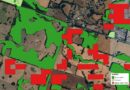 Con imágenes satelitales, CONAF detecta focos de fuego cercanos al bosque nativo de la región