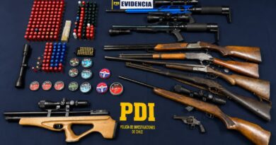 Violencia intrafamiliar destapa arsenal de armas en la comuna de Los Sauces