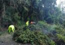 CONAF mantiene cerradas temporalmente cuatro áreas protegidas de La Araucanía
