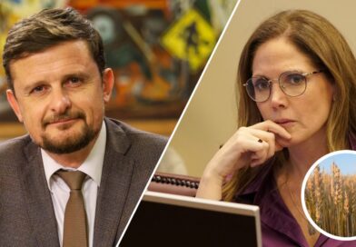 Diputados Schubert y Santelices piden medidas preventivas ante alza internacional del trigo y eventual impacto en el precio del pan
