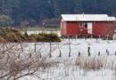 INDAP despliega apoyo en terreno para acelerar la recuperación de agricultores afectados por el sistema frontal en La Araucanía