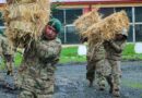 Municipio, Sofo y Ejército unen fuerzas para apoyar a agricultores damnificados en Temuco