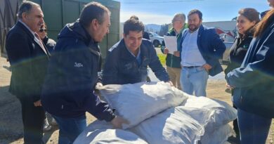 🌾 Minagri comienza en Purén apoyo a pequeños agricultores afectados por la emergencia