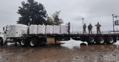 SOFO entrega 6 mil kilos de avena forrajera a agricultores afectados por las inundaciones en Carahue