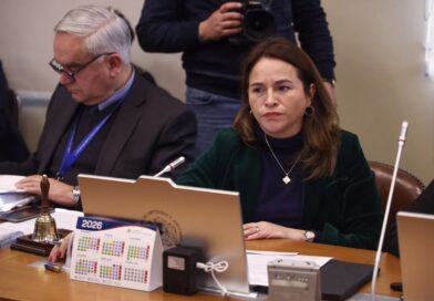 Alto Biobío exige respuestas: diputada Joanna Pérez pide acelerar ayudas tras sistema frontal