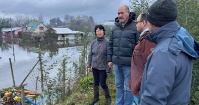 Emergencia en La Araucanía: más de 13 mil hogares sin luz y autoridades intensifican despliegue regional
