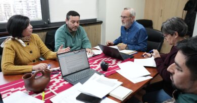 Emergencia en La Araucanía: Gobierno Regional busca destinar más de $11 mil millones a las 32 comunas